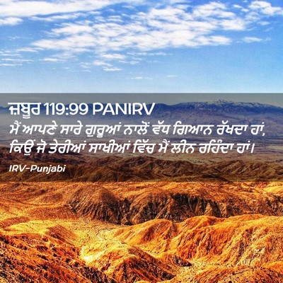 Picture 02 - ਜ਼ਬੂਰ 119:99 PANIRV - ਮੈਂ ਆਪਣੇ ਸਾਰੇ - Bible Verse Picture