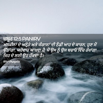 Picture 02 - ਜ਼ਬੂਰ 12:5 PANIRV - ਮਸਕੀਨਾਂ ਦੇ - Bible Verse Picture
