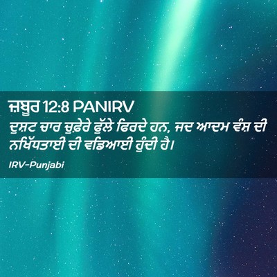Picture 02 - ਜ਼ਬੂਰ 12:8 PANIRV - ਦੁਸ਼ਟ ਚਾਰ ਚੁਫ਼ੇਰੇ - Bible Verse Picture