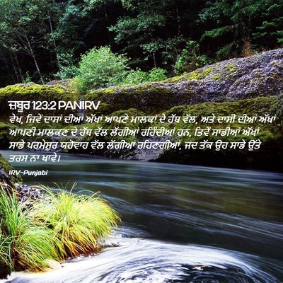 Picture 02 - ਜ਼ਬੂਰ 123:2 PANIRV - ਵੇਖ, ਜਿਵੇਂ ਦਾਸਾਂ - Bible Verse Picture