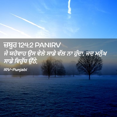 Picture 02 - ਜ਼ਬੂਰ 124:2 PANIRV - ਜੇ ਯਹੋਵਾਹ ਉਸ ਵੇਲੇ - Bible Verse Picture