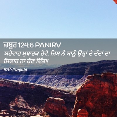 Picture 02 - ਜ਼ਬੂਰ 124:6 PANIRV - ਯਹੋਵਾਹ ਮੁਬਾਰਕ - Bible Verse Picture