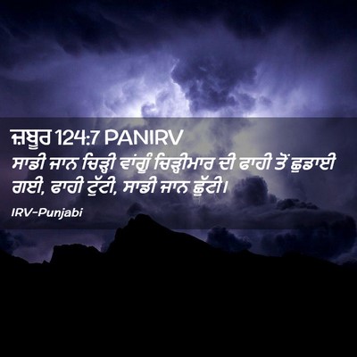 Picture 02 - ਜ਼ਬੂਰ 124:7 PANIRV - ਸਾਡੀ ਜਾਨ ਚਿੜ੍ਹੀ - Bible Verse Picture
