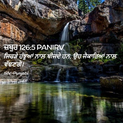 Picture 02 - ਜ਼ਬੂਰ 126:5 PANIRV - ਜਿਹੜੇ ਹੰਝੂਆਂ ਨਾਲ - Bible Verse Picture