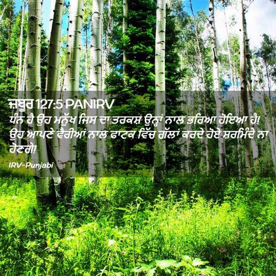 Picture 02 - ਜ਼ਬੂਰ 127:5 PANIRV - ਧੰਨ ਹੈ ਉਹ ਮਨੁੱਖ ਜਿਸ - Bible Verse Picture