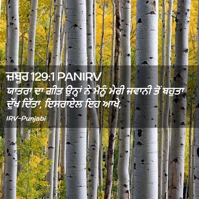 Picture 02 - ਜ਼ਬੂਰ 129:1 PANIRV - ਯਾਤਰਾ ਦਾ ਗੀਤ - Bible Verse Picture