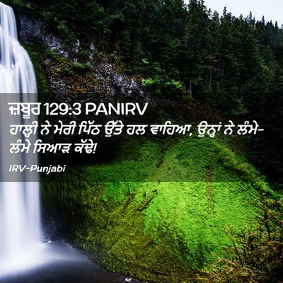 Picture 02 - ਜ਼ਬੂਰ 129:3 PANIRV - ਹਾਲ੍ਹੀ ਨੇ ਮੇਰੀ - Bible Verse Picture