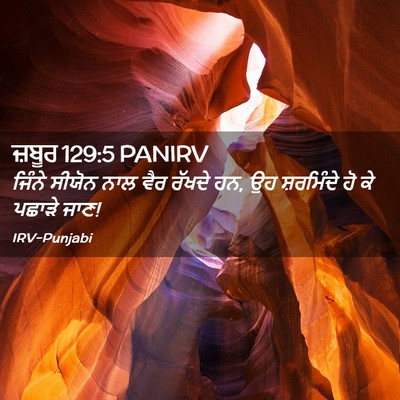 Picture 02 - ਜ਼ਬੂਰ 129:5 PANIRV - ਜਿੰਨੇ ਸੀਯੋਨ ਨਾਲ - Bible Verse Picture