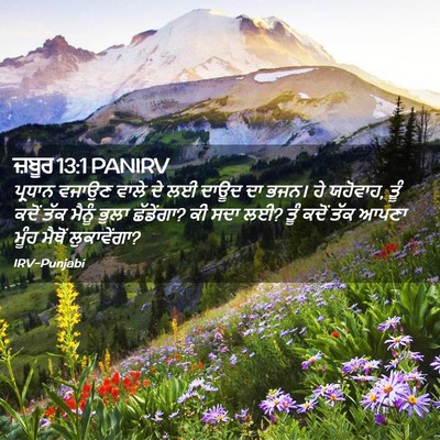 Picture 02 - ਜ਼ਬੂਰ 13:1 PANIRV - ਪ੍ਰਧਾਨ ਵਜਾਉਣ ਵਾਲੇ - Bible Verse Picture