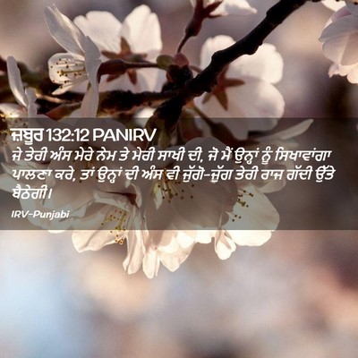 Picture 02 - ਜ਼ਬੂਰ 132:12 PANIRV - ਜੇ ਤੇਰੀ ਅੰਸ ਮੇਰੇ - Bible Verse Picture