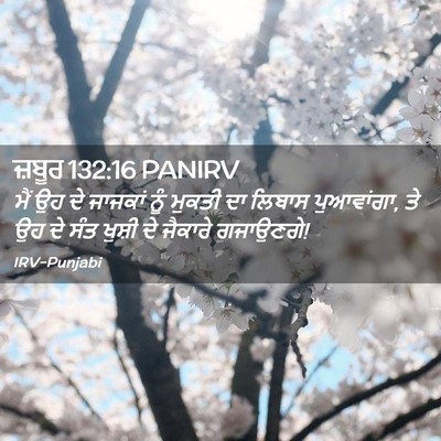 Picture 02 - ਜ਼ਬੂਰ 132:16 PANIRV - ਮੈਂ ਉਹ ਦੇ ਜਾਜਕਾਂ - Bible Verse Picture