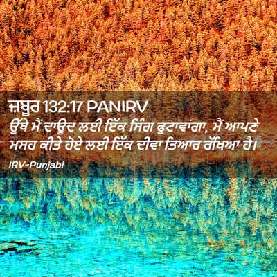 Picture 02 - ਜ਼ਬੂਰ 132:17 PANIRV - ਉੱਥੇ ਮੈਂ ਦਾਊਦ ਲਈ - Bible Verse Picture