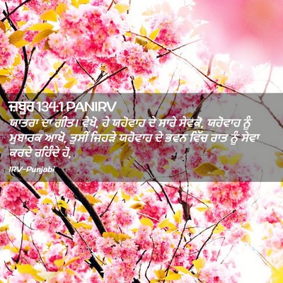 Picture 02 - ਜ਼ਬੂਰ 134:1 PANIRV - ਯਾਤਰਾ ਦਾ ਗੀਤ। ਵੇਖੋ, - Bible Verse Picture