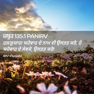 Picture 02 - ਜ਼ਬੂਰ 135:1 PANIRV - ਹਲਲੂਯਾਹ! ਯਹੋਵਾਹ ਦੇ - Bible Verse Picture