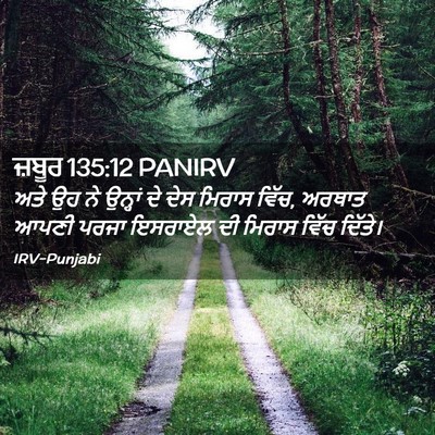 Picture 02 - ਜ਼ਬੂਰ 135:12 PANIRV - ਅਤੇ ਉਹ ਨੇ ਉਨ੍ਹਾਂ ਦੇ - Bible Verse Picture