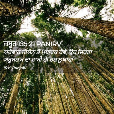 Picture 02 - ਜ਼ਬੂਰ 135:21 PANIRV - ਯਹੋਵਾਹ ਸੀਯੋਨ ਤੋਂ - Bible Verse Picture