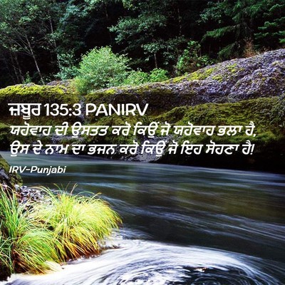 Picture 02 - ਜ਼ਬੂਰ 135:3 PANIRV - ਯਹੋਵਾਹ ਦੀ ਉਸਤਤ ਕਰੋ - Bible Verse Picture