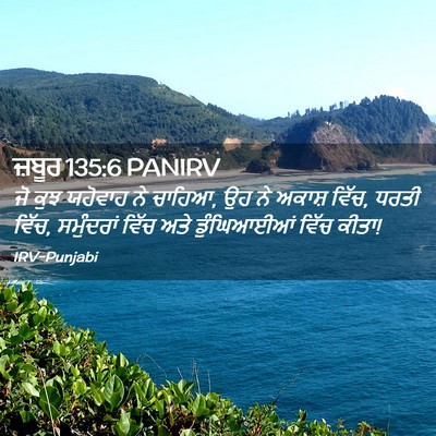 Picture 02 - ਜ਼ਬੂਰ 135:6 PANIRV - ਜੋ ਕੁਝ ਯਹੋਵਾਹ ਨੇ - Bible Verse Picture