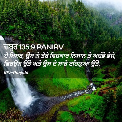 Picture 02 - ਜ਼ਬੂਰ 135:9 PANIRV - ਹੇ ਮਿਸਰ, ਉਸ ਨੇ ਤੇਰੇ - Bible Verse Picture