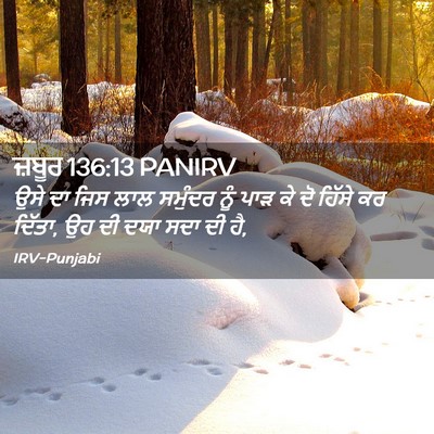 Picture 02 - ਜ਼ਬੂਰ 136:13 PANIRV - ਉਸੇ ਦਾ ਜਿਸ ਲਾਲ - Bible Verse Picture