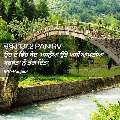 Picture 02 - ਜ਼ਬੂਰ 137:2 PANIRV - ਉਹ ਦੇ ਵਿੱਚ - Bible Verse Picture