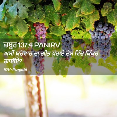 Picture 02 - ਜ਼ਬੂਰ 137:4 PANIRV - ਅਸੀਂ ਯਹੋਵਾਹ ਦਾ ਗੀਤ - Bible Verse Picture