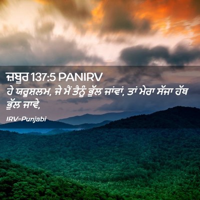 Picture 02 - ਜ਼ਬੂਰ 137:5 PANIRV - ਹੇ ਯਰੂਸ਼ਲਮ, ਜੇ ਮੈਂ - Bible Verse Picture