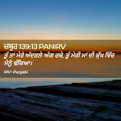 Picture 02 - ਜ਼ਬੂਰ 139:13 PANIRV - ਤੂੰ ਤਾਂ ਮੇਰੇ - Bible Verse Picture