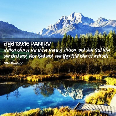 Picture 02 - ਜ਼ਬੂਰ 139:16 PANIRV - ਤੇਰੀਆਂ ਅੱਖਾਂ ਨੇ - Bible Verse Picture