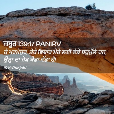Picture 02 - ਜ਼ਬੂਰ 139:17 PANIRV - ਹੇ ਪਰਮੇਸ਼ੁਰ, ਤੇਰੇ - Bible Verse Picture