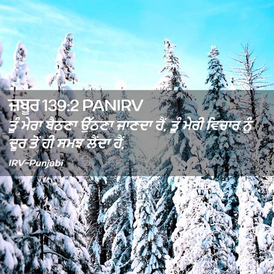 Picture 02 - ਜ਼ਬੂਰ 139:2 PANIRV - ਤੂੰ ਮੇਰਾ ਬੈਠਣਾ - Bible Verse Picture