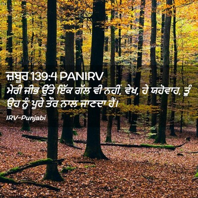 Picture 02 - ਜ਼ਬੂਰ 139:4 PANIRV - ਮੇਰੀ ਜੀਭ ਉੱਤੇ ਇੱਕ - Bible Verse Picture