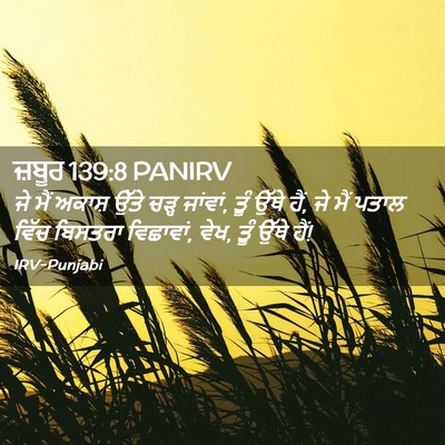 Picture 02 - ਜ਼ਬੂਰ 139:8 PANIRV - ਜੇ ਮੈਂ ਅਕਾਸ਼ ਉੱਤੇ - Bible Verse Picture
