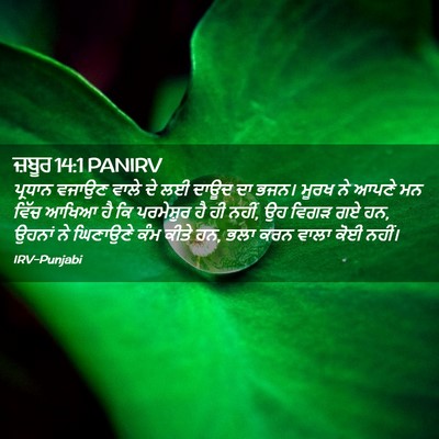 Picture 02 - ਜ਼ਬੂਰ 14:1 PANIRV - ਪ੍ਰਧਾਨ ਵਜਾਉਣ ਵਾਲੇ - Bible Verse Picture