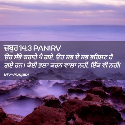 Picture 02 - ਜ਼ਬੂਰ 14:3 PANIRV - ਉਹ ਸੱਭੇ ਕੁਰਾਹੇ ਪੈ - Bible Verse Picture