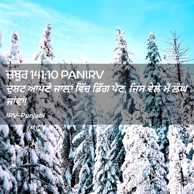 Picture 02 - ਜ਼ਬੂਰ 141:10 PANIRV - ਦੁਸ਼ਟ ਆਪਣੇ ਜਾਲ਼ਾਂ - Bible Verse Picture