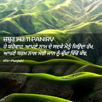 Picture 02 - ਜ਼ਬੂਰ 143:11 PANIRV - ਹੇ ਯਹੋਵਾਹ, ਆਪਣੇ ਨਾਮ - Bible Verse Picture