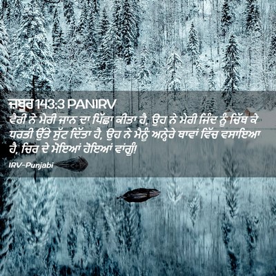 Picture 02 - ਜ਼ਬੂਰ 143:3 PANIRV - ਵੈਰੀ ਨੇ ਮੇਰੀ ਜਾਨ ਦਾ - Bible Verse Picture