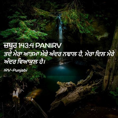 Picture 02 - ਜ਼ਬੂਰ 143:4 PANIRV - ਤਦੇ ਮੇਰਾ ਆਤਮਾ ਮੇਰੇ - Bible Verse Picture