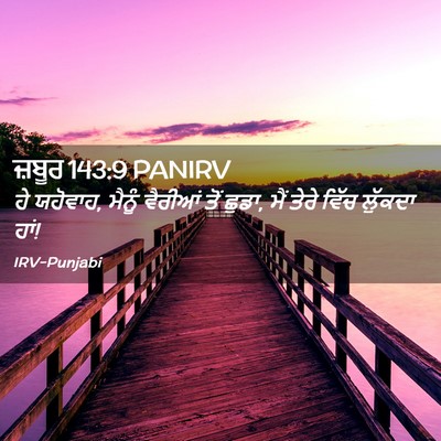 Picture 02 - ਜ਼ਬੂਰ 143:9 PANIRV - ਹੇ ਯਹੋਵਾਹ, ਮੈਨੂੰ - Bible Verse Picture