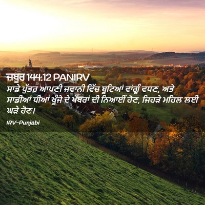 Picture 02 - ਜ਼ਬੂਰ 144:12 PANIRV - ਸਾਡੇ ਪੁੱਤਰ ਆਪਣੀ - Bible Verse Picture