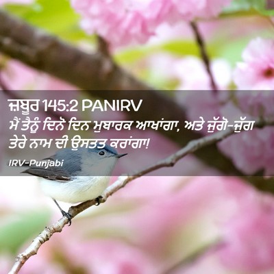 Picture 02 - ਜ਼ਬੂਰ 145:2 PANIRV - ਮੈਂ ਤੈਨੂੰ ਦਿਨੋ ਦਿਨ - Bible Verse Picture
