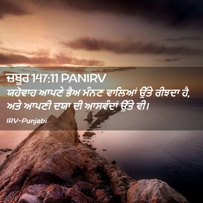 Picture 02 - ਜ਼ਬੂਰ 147:11 PANIRV - ਯਹੋਵਾਹ ਆਪਣੇ ਭੈਅ - Bible Verse Picture