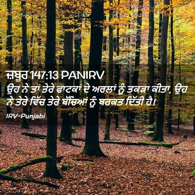Picture 02 - ਜ਼ਬੂਰ 147:13 PANIRV - ਉਹ ਨੇ ਤਾਂ ਤੇਰੇ - Bible Verse Picture