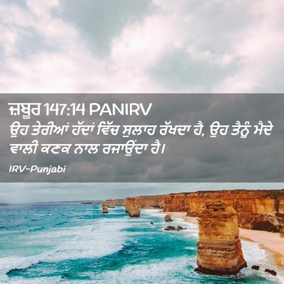 Picture 02 - ਜ਼ਬੂਰ 147:14 PANIRV - ਉਹ ਤੇਰੀਆਂ ਹੱਦਾਂ - Bible Verse Picture
