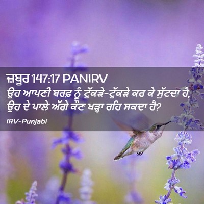 Picture 02 - ਜ਼ਬੂਰ 147:17 PANIRV - ਉਹ ਆਪਣੀ ਬਰਫ਼ ਨੂੰ - Bible Verse Picture
