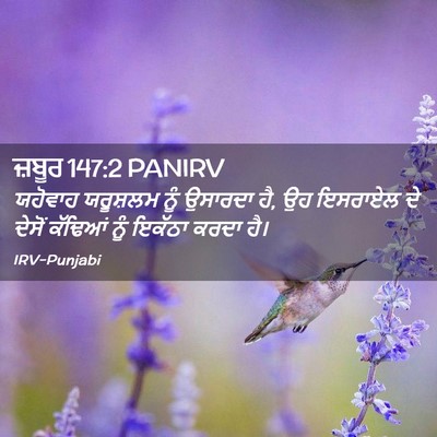Picture 02 - ਜ਼ਬੂਰ 147:2 PANIRV - ਯਹੋਵਾਹ ਯਰੂਸ਼ਲਮ - Bible Verse Picture