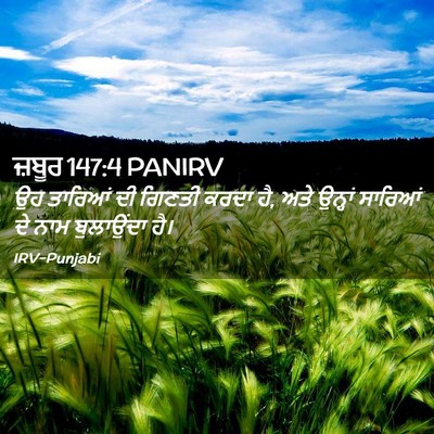 Picture 02 - ਜ਼ਬੂਰ 147:4 PANIRV - ਉਹ ਤਾਰਿਆਂ ਦੀ ਗਿਣਤੀ - Bible Verse Picture