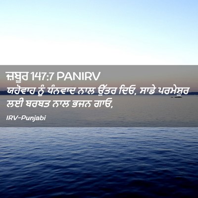 Picture 02 - ਜ਼ਬੂਰ 147:7 PANIRV - ਯਹੋਵਾਹ ਨੂੰ ਧੰਨਵਾਦ - Bible Verse Picture