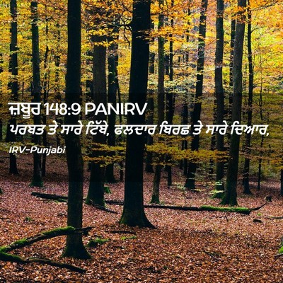 Picture 02 - ਜ਼ਬੂਰ 148:9 PANIRV - ਪਰਬਤ ਤੇ ਸਾਰੇ ਟਿੱਬੇ, - Bible Verse Picture